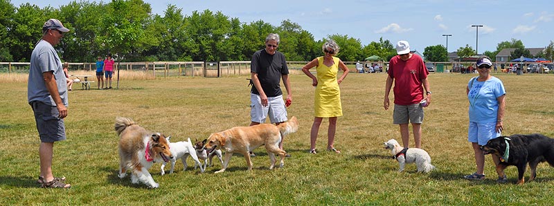 Cary Park District Dog Park