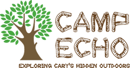 Camp Echo - Cary Park District Summer Camp